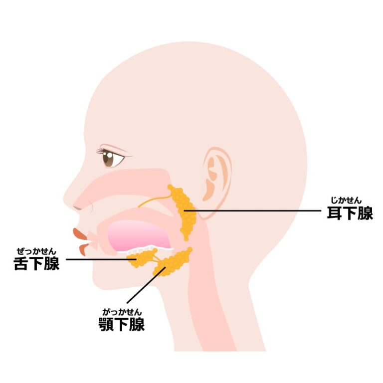 唾液腺疾患とは？