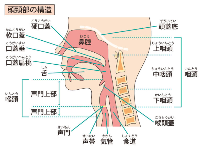 頭頸部外科・腫瘍外来