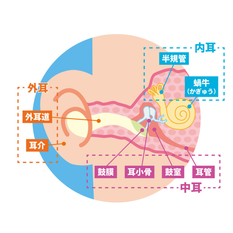 中耳炎の種類別（症状・原因・治療）